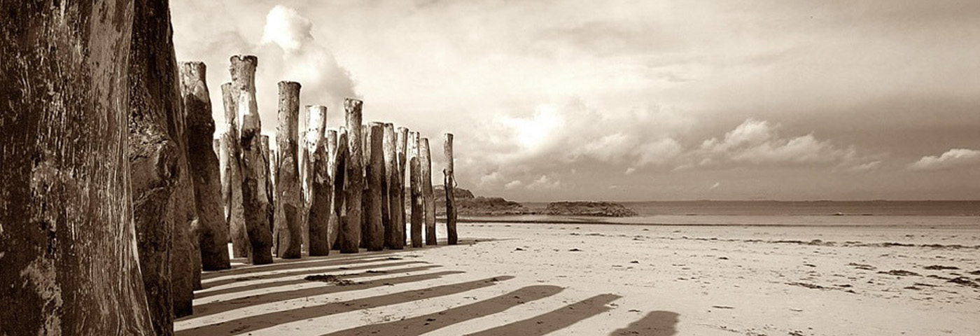 Bild von Pfählen am Meeresstrand - Resilienz und Weite